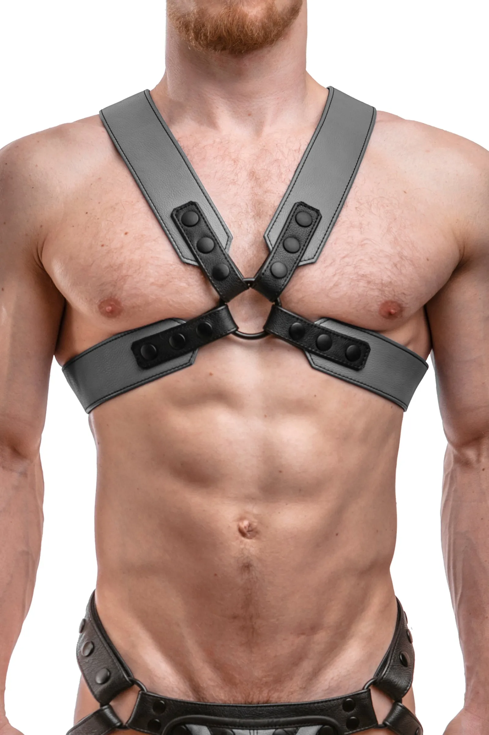 SERGEANT X HARNESS - Colour