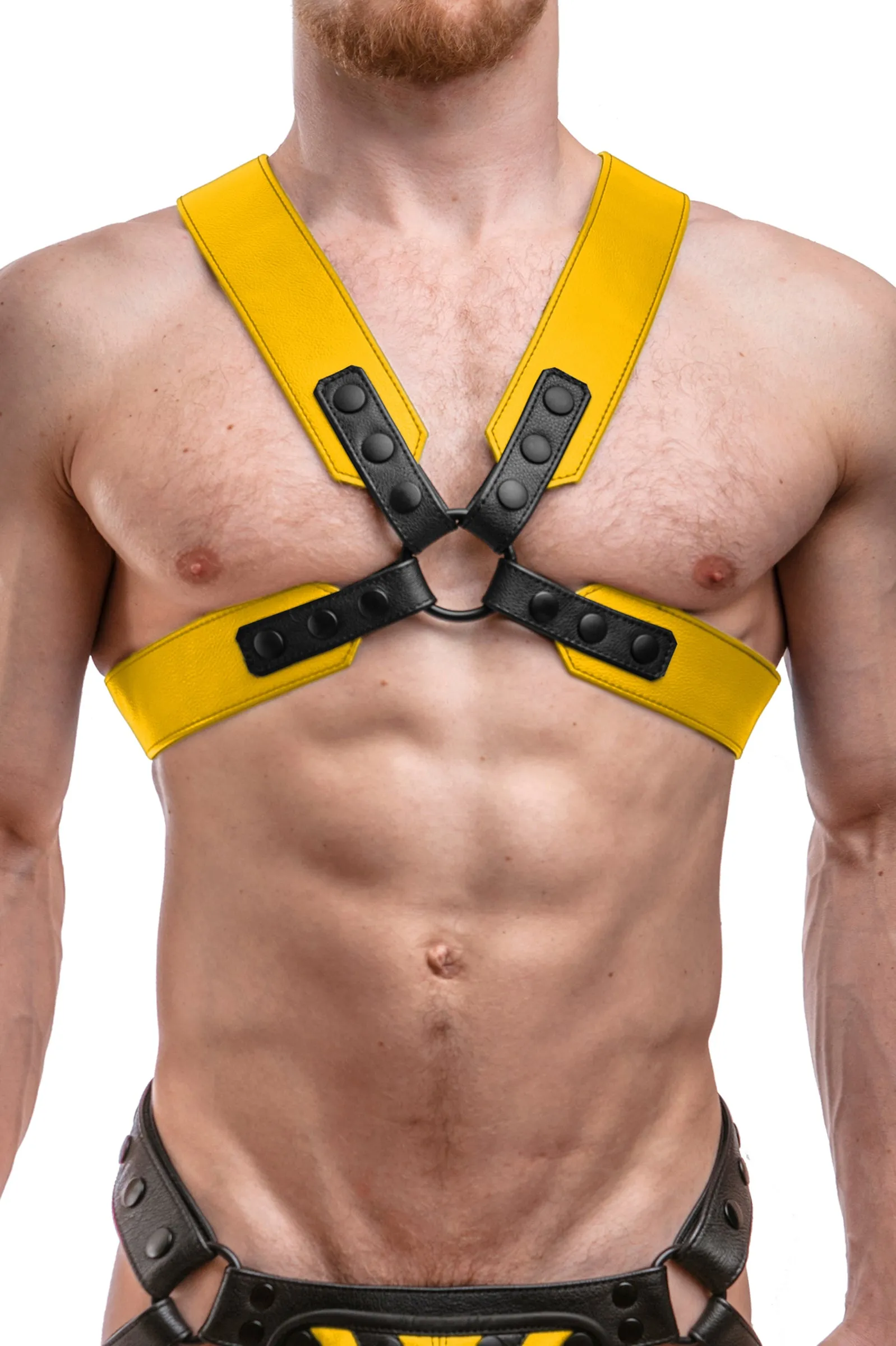 SERGEANT X HARNESS - Colour
