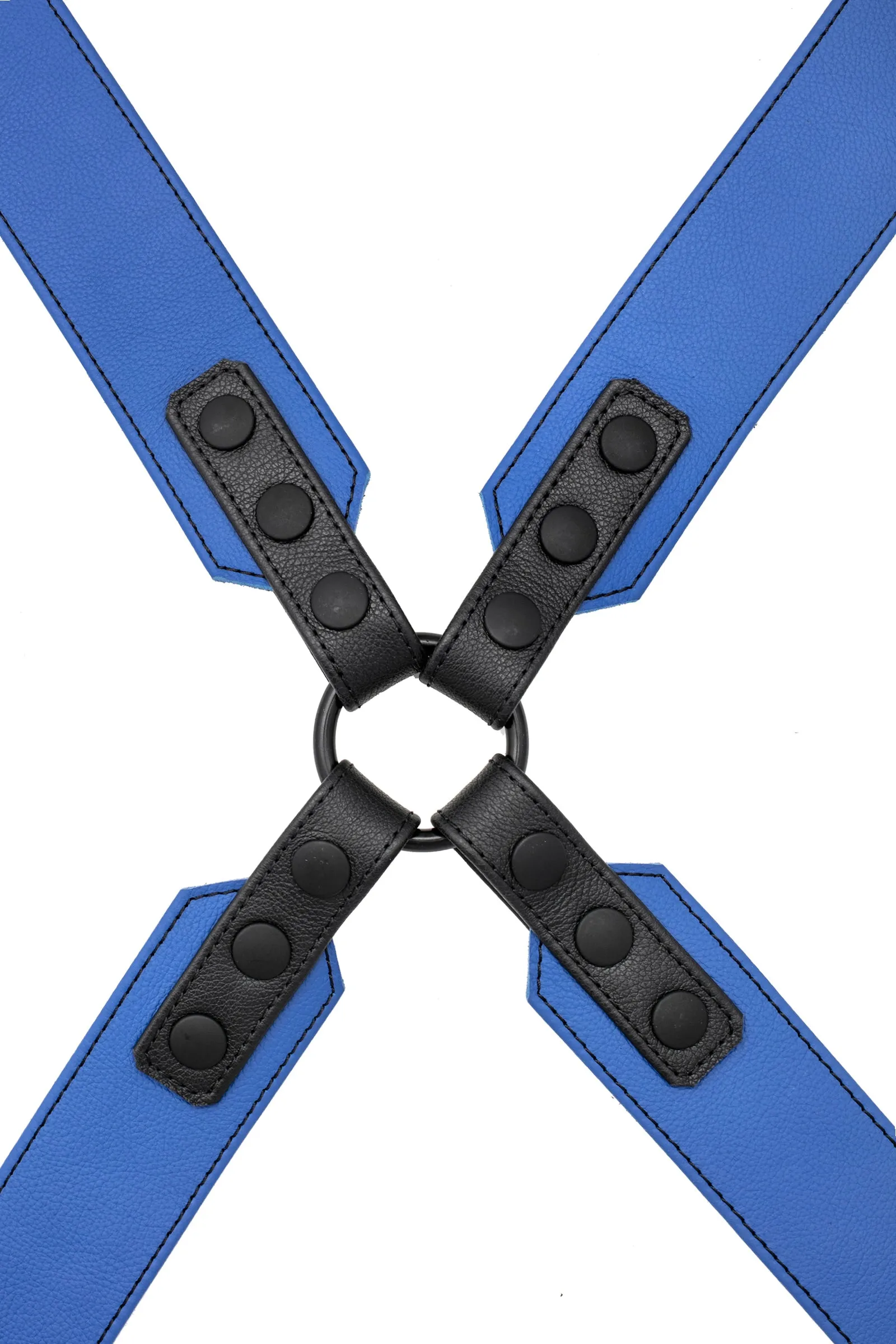 SERGEANT X HARNESS - Colour