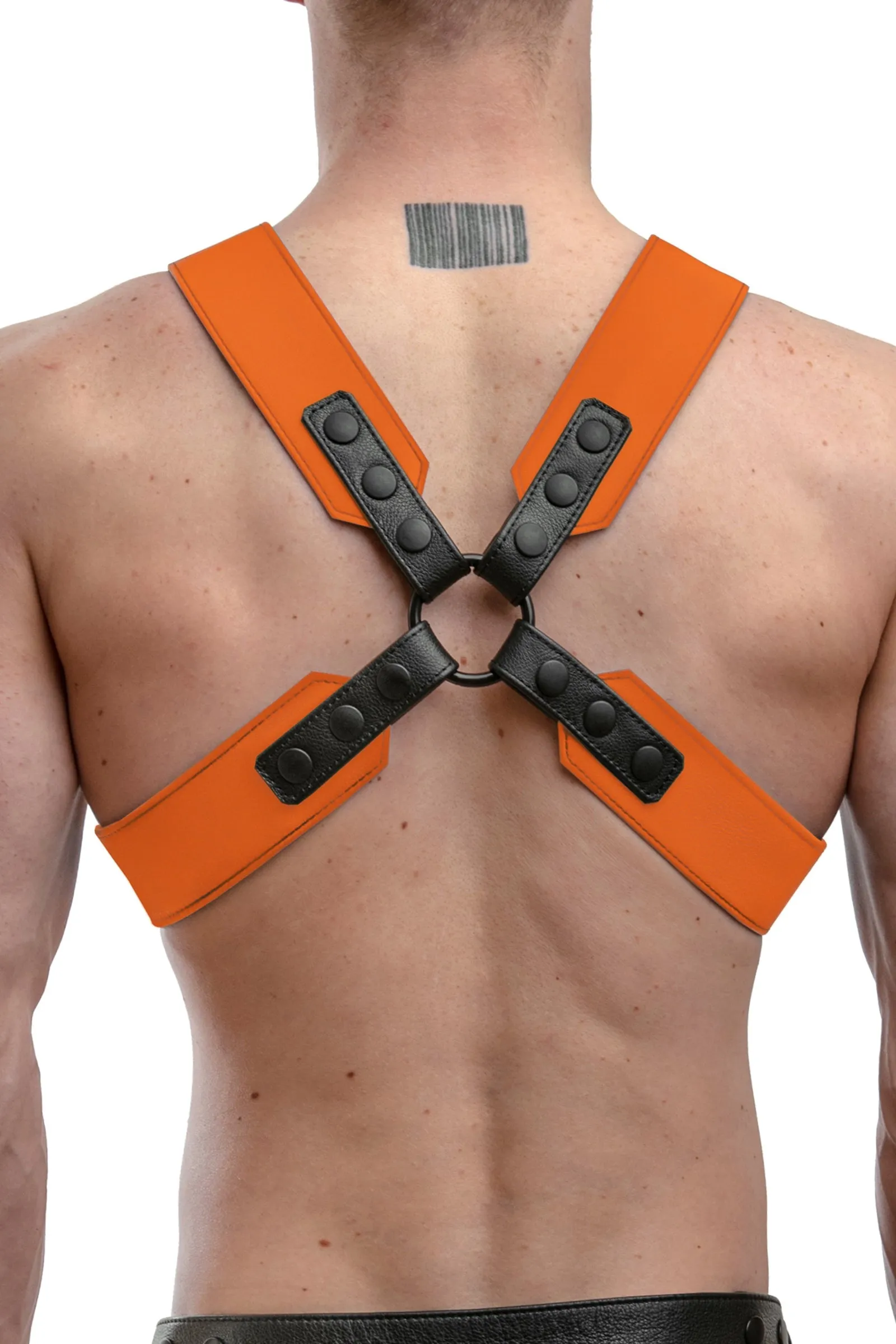 SERGEANT X HARNESS - Colour