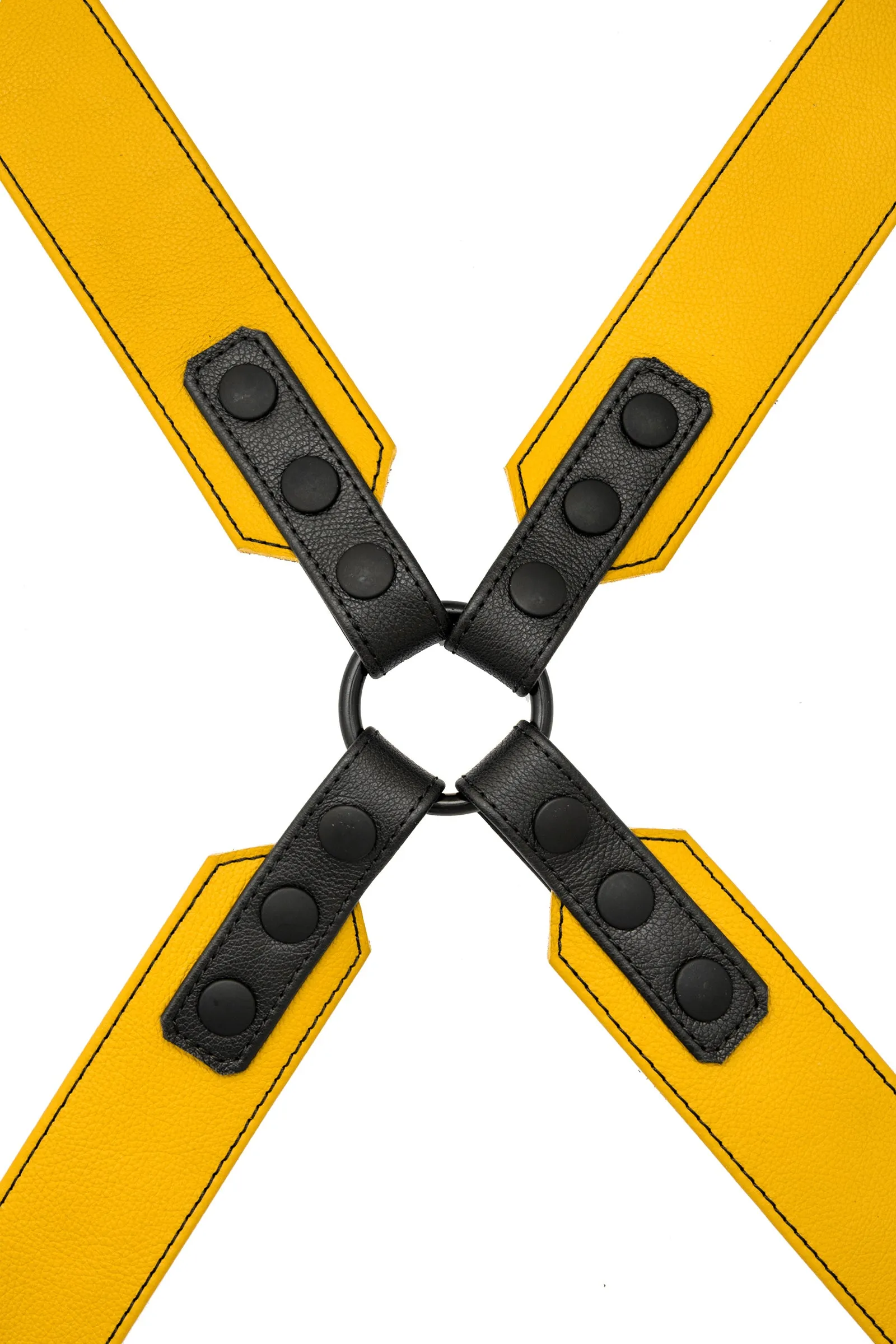 SERGEANT X HARNESS - Colour