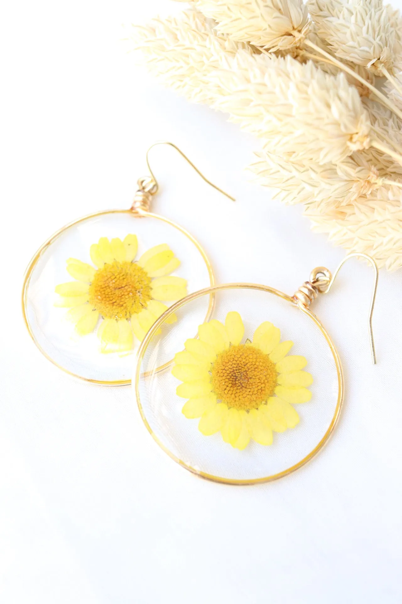 The Sunny Daisy