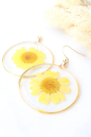 The Sunny Daisy