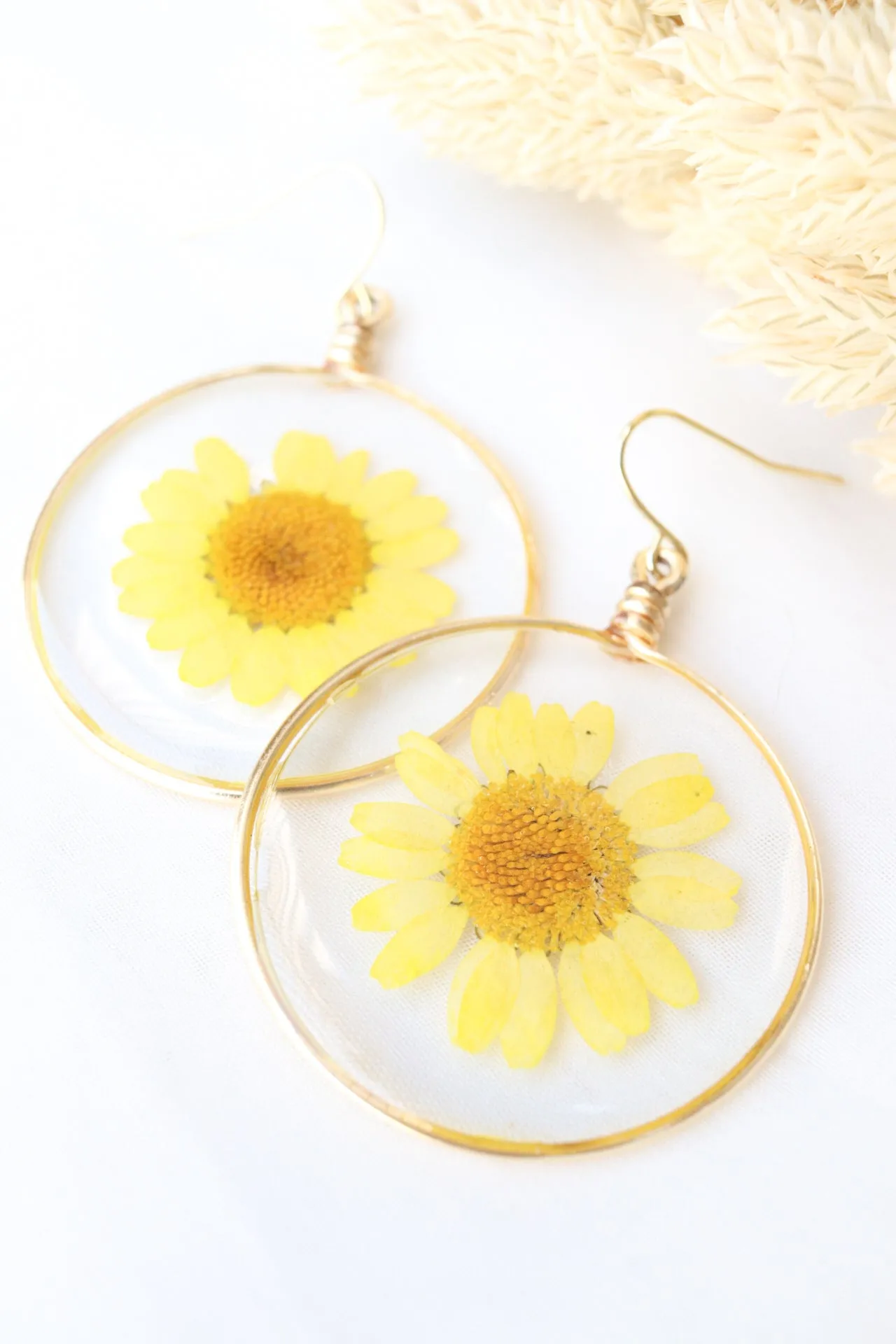 The Sunny Daisy