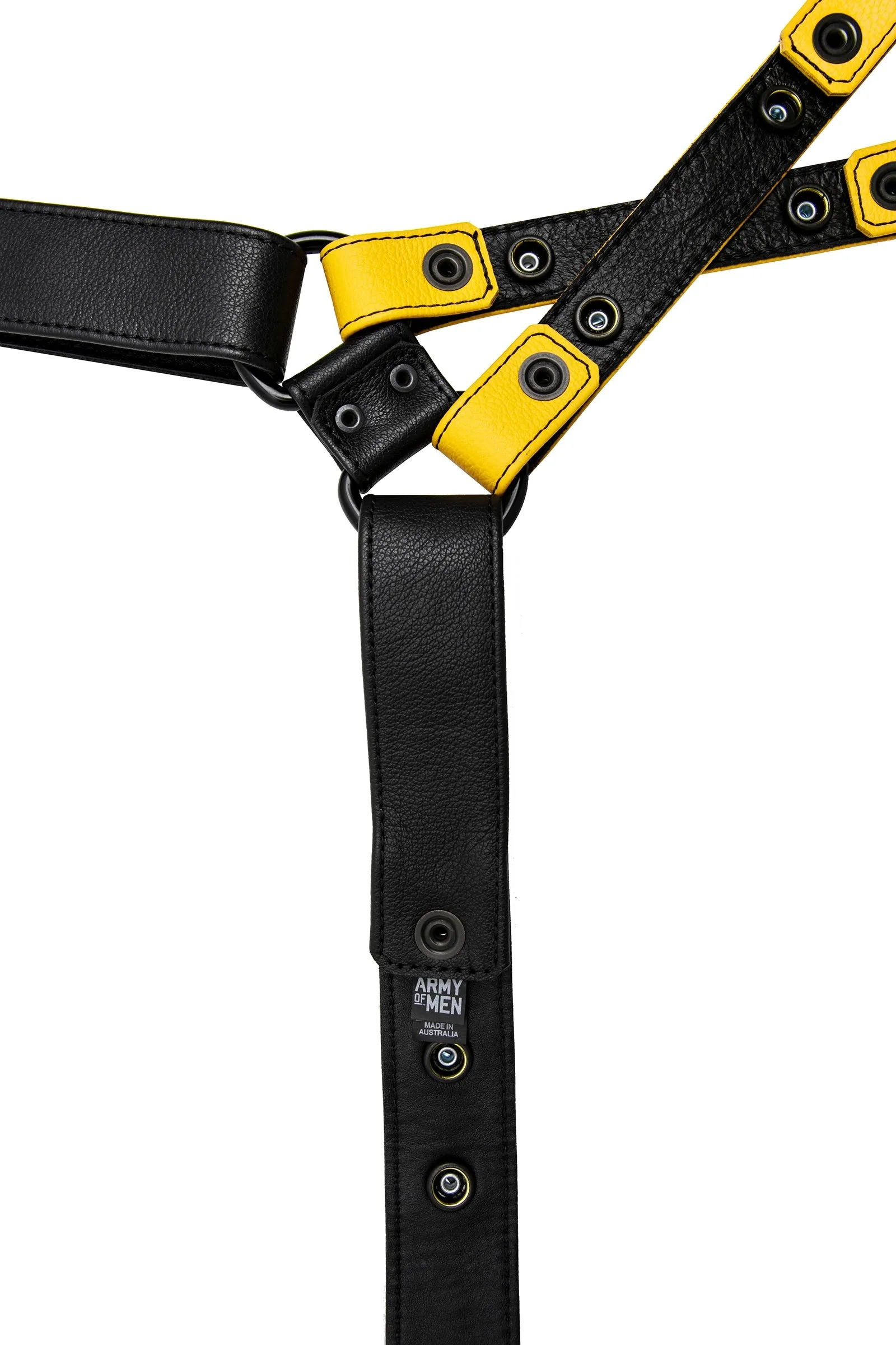 UNIVERSAL X HARNESS - Colour