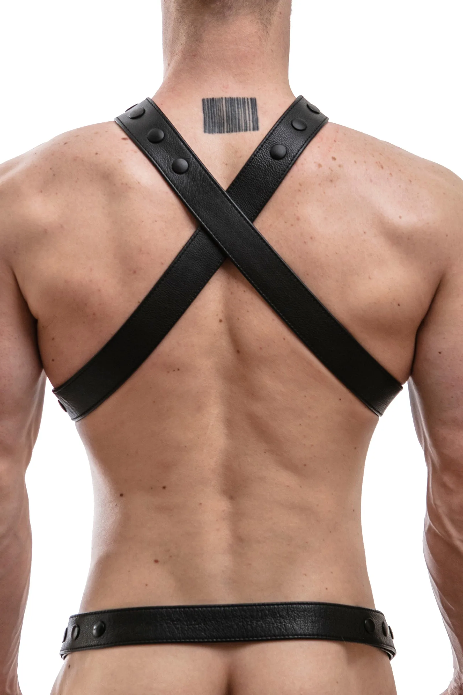 UNIVERSAL X HARNESS - Colour