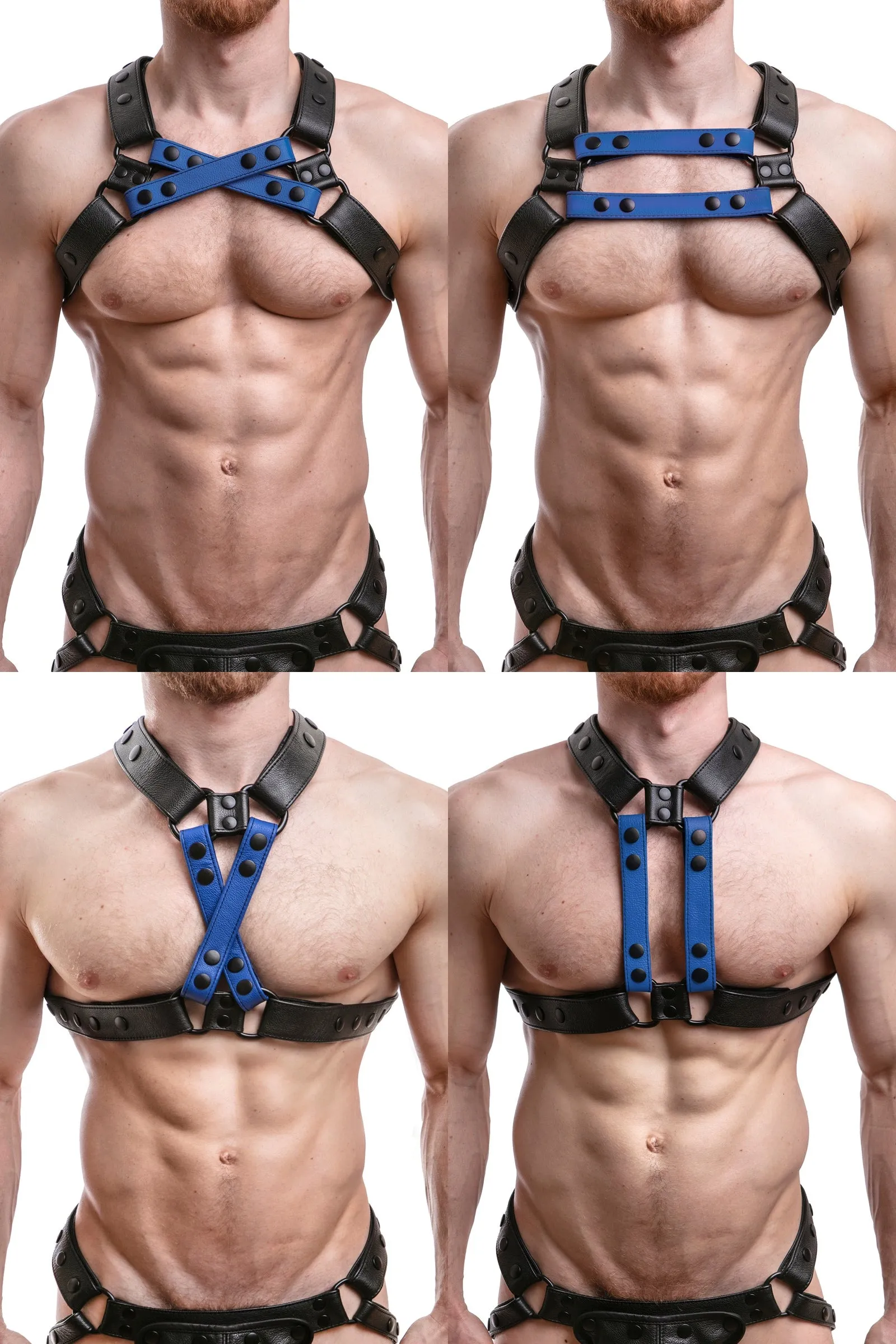 UNIVERSAL X HARNESS - Colour