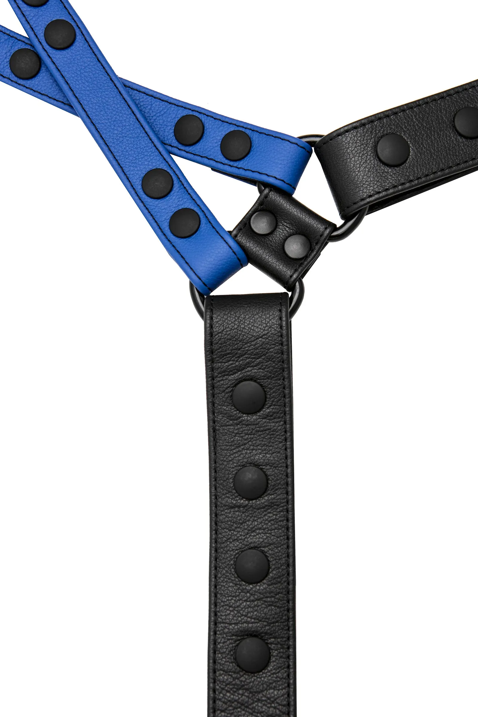 UNIVERSAL X HARNESS - Colour