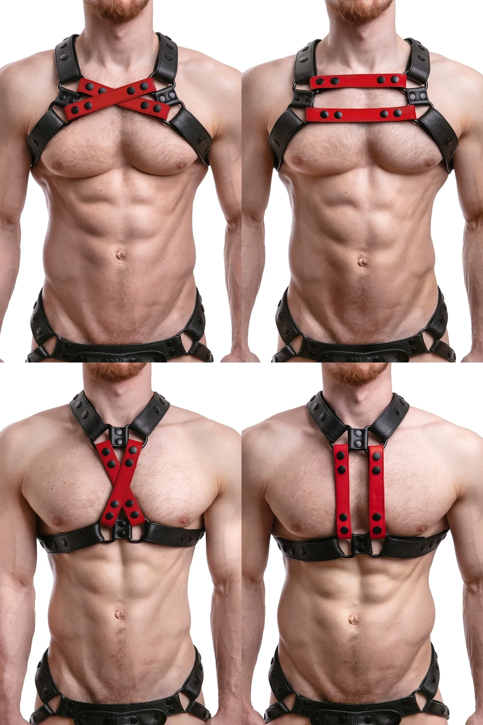 UNIVERSAL X HARNESS - Colour