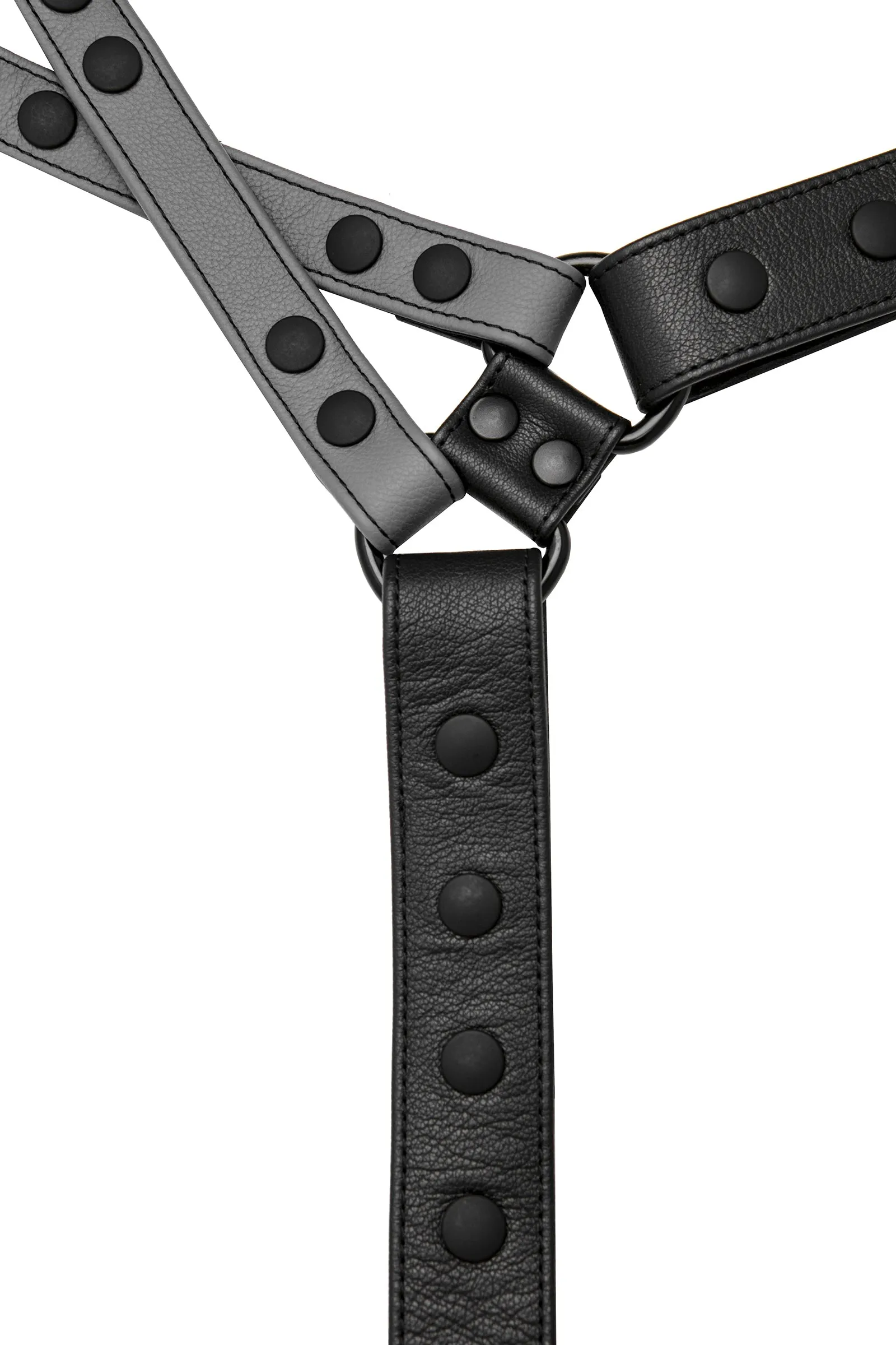 UNIVERSAL X HARNESS - Colour