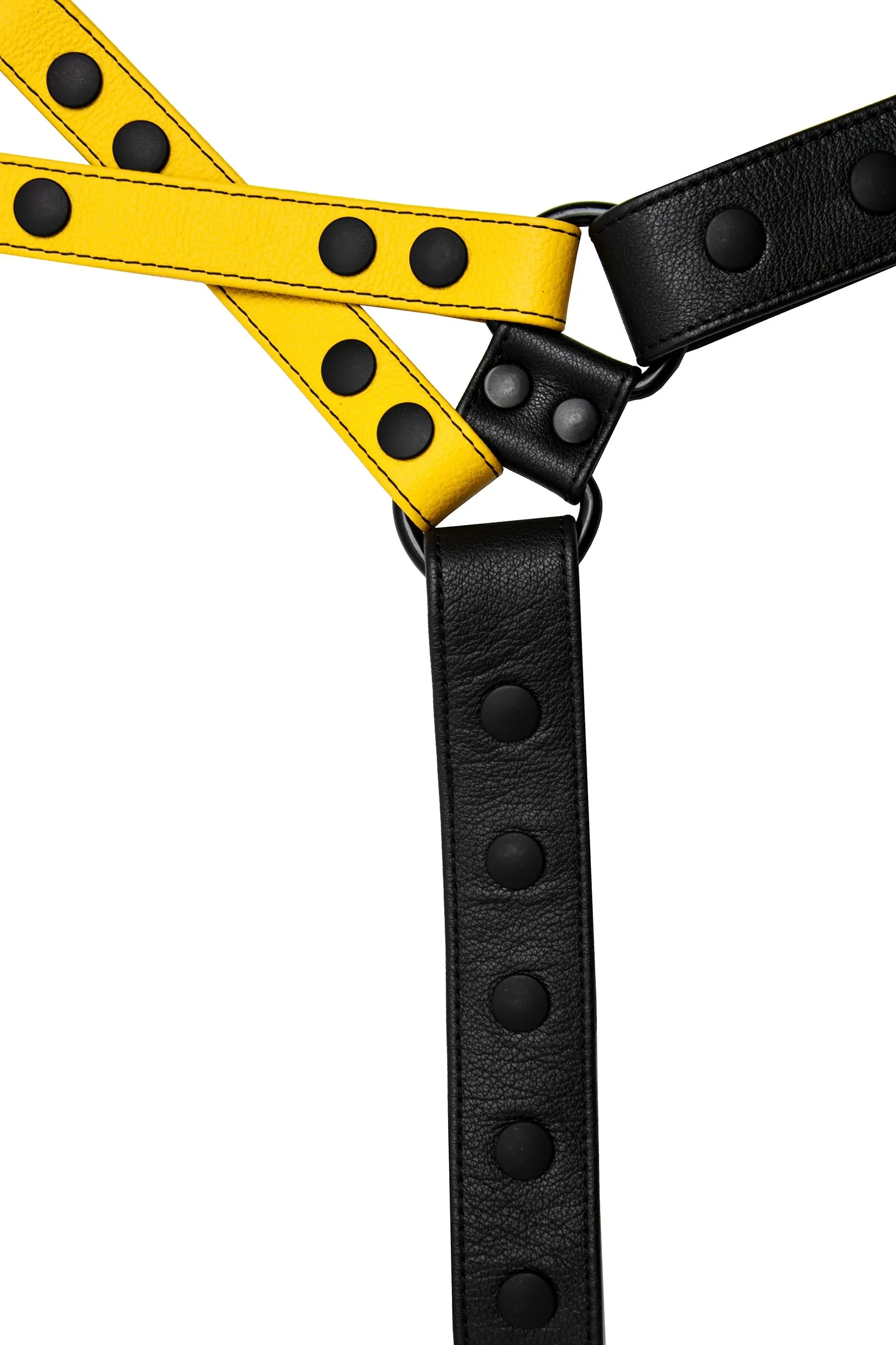 UNIVERSAL X HARNESS - Colour