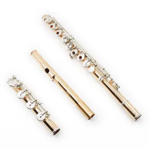 William S. Haynes Handmade Custom Flute in 19.5K Gold - New