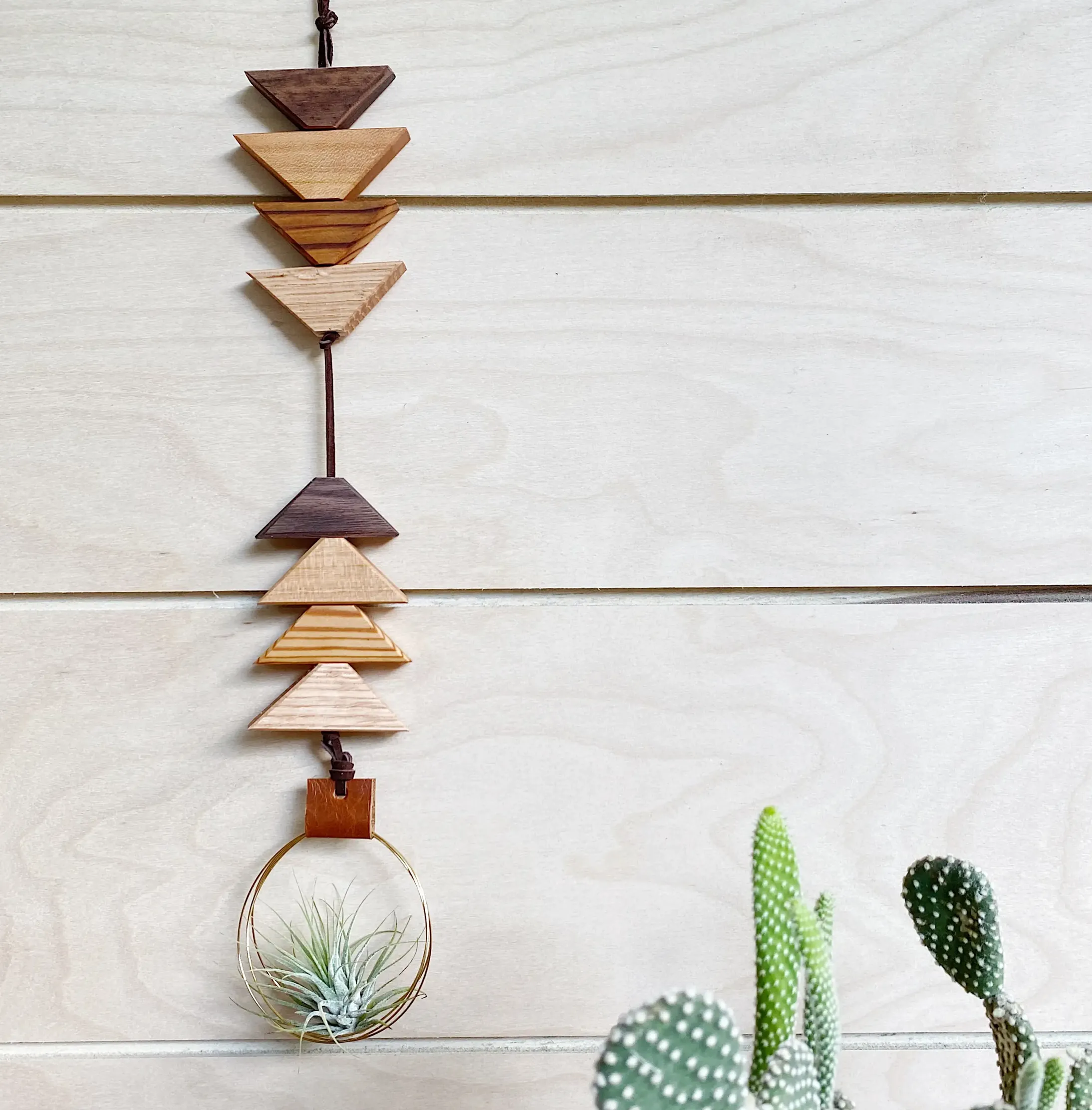 Wooden Air Plant Hanger To the Earth To the Sky