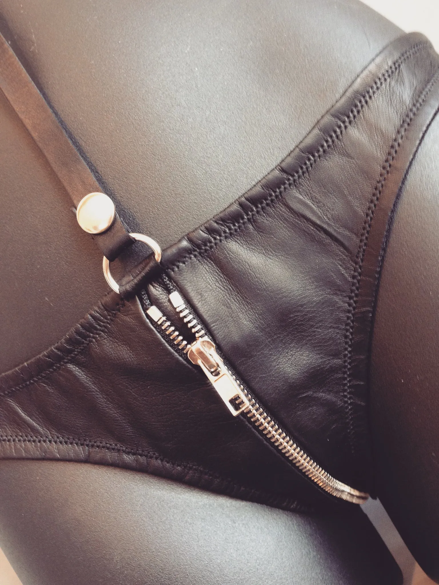 Zip Brief (with D rings)